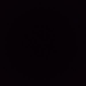 Meet your Posher, Cassandra